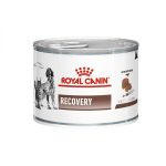 کنسرو ریکاوری رویال کنین سگ و گربه (Royal Canin Recovery)